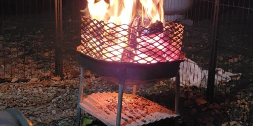 Open Fire Pit's waiting for wood!